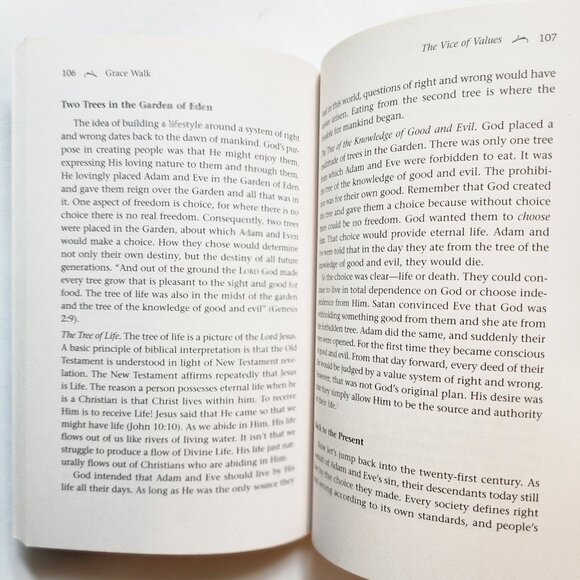 Grace Walk: What You've Always Wanted in the Christian Life by Steve McVey - Picture 4 of 6